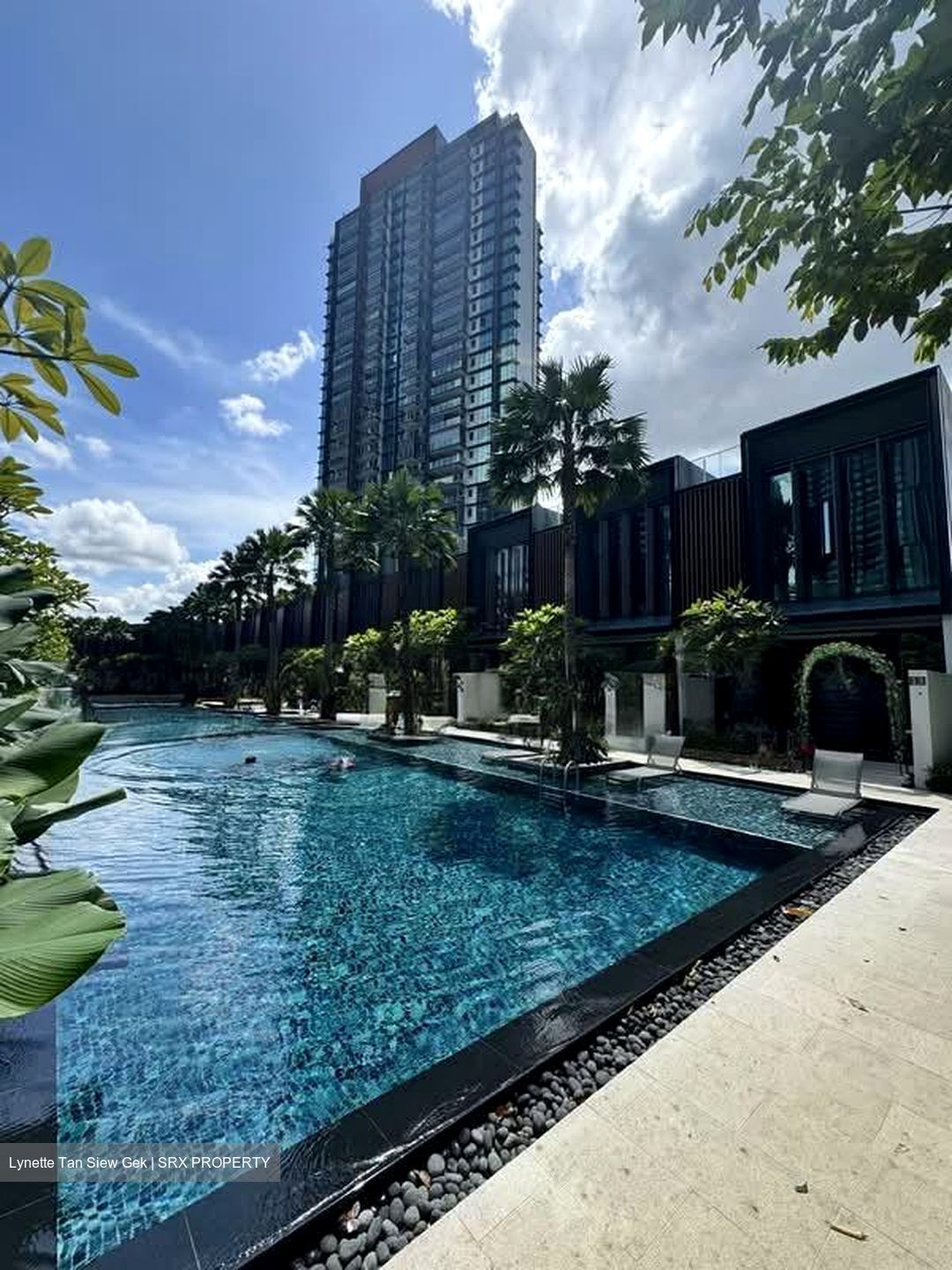 Normanton Park (D5), Apartment #553322321